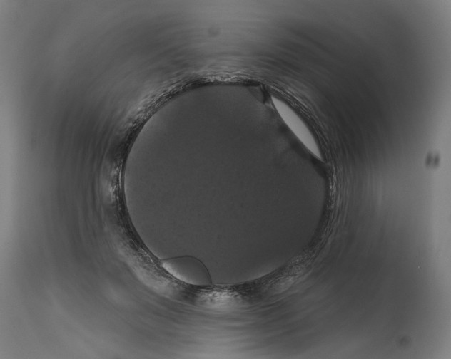 X0000114580503200911161312