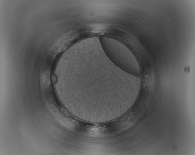 X0000114580504200911161312