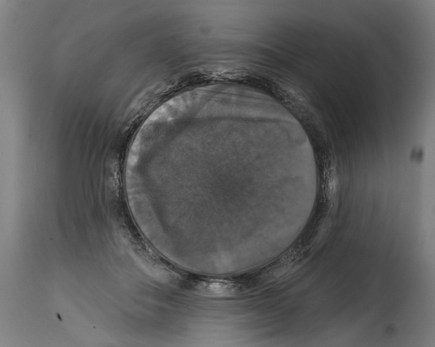 X0000114580506200911161312