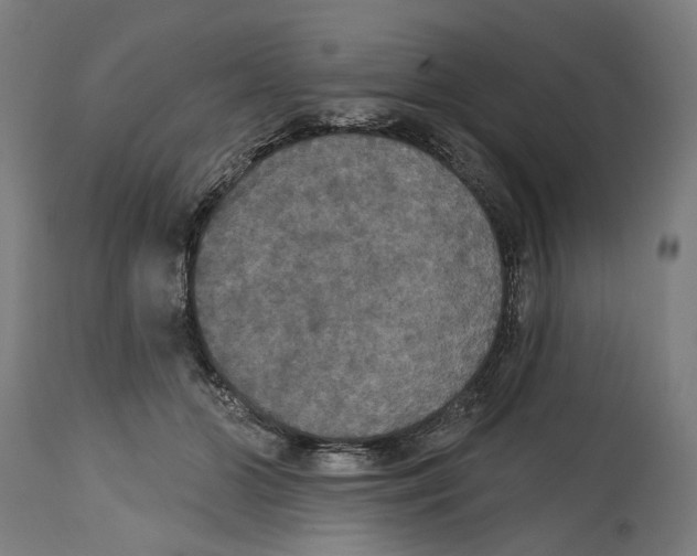 X0000114580510200911161312