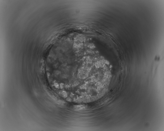 X0000114580511200911161312