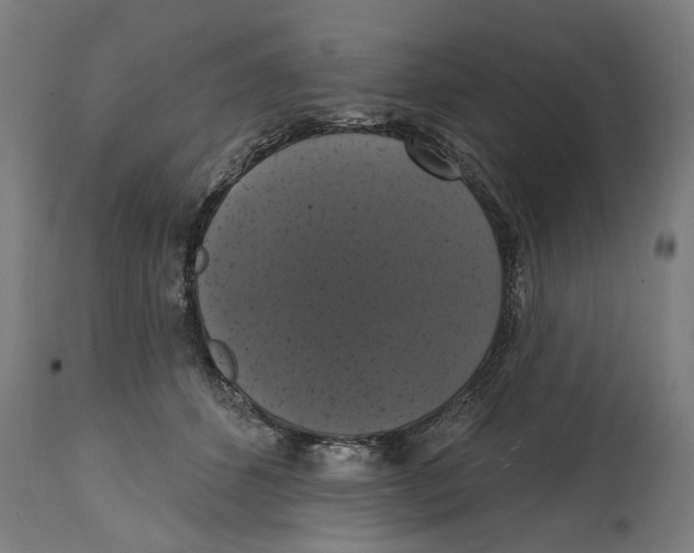 X0000114580512200911161312