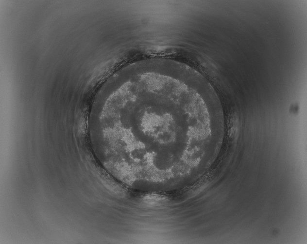 X0000114580515200911161312