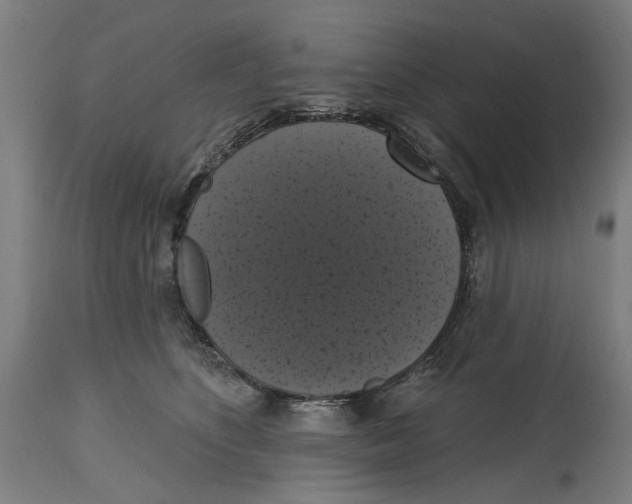 X0000114580516200911161312