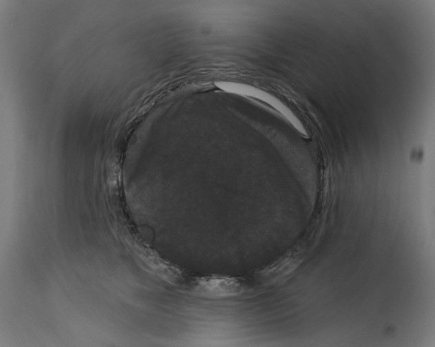 X0000114580517200911161312