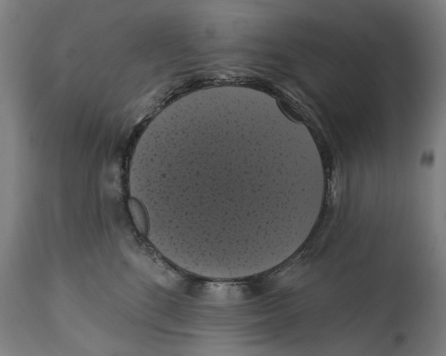 X0000114580520200911161312