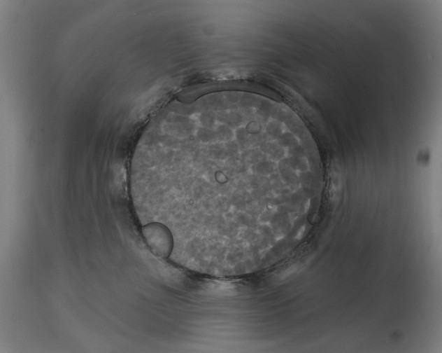 X0000114580523200911161312