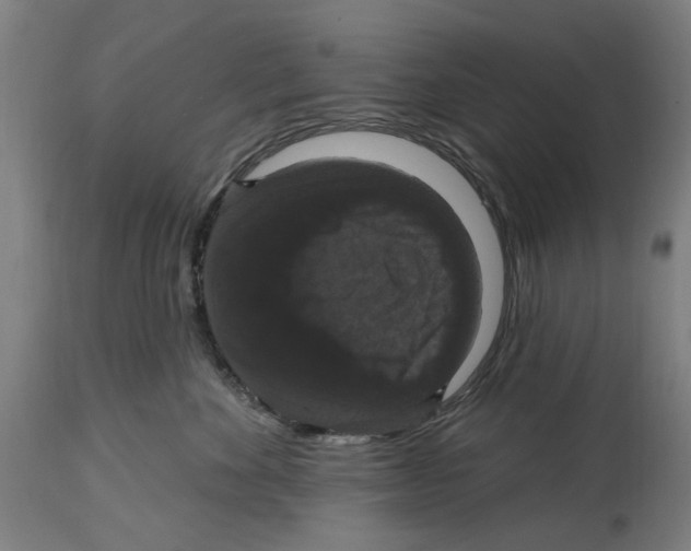 X0000114580524200911161312