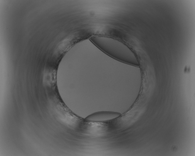 X0000114580528200911161312