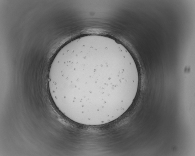 X0000114580529200911161311