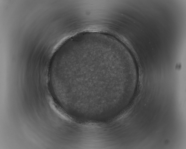 X0000114580530200911161311