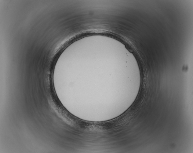 X0000114580535200911161311