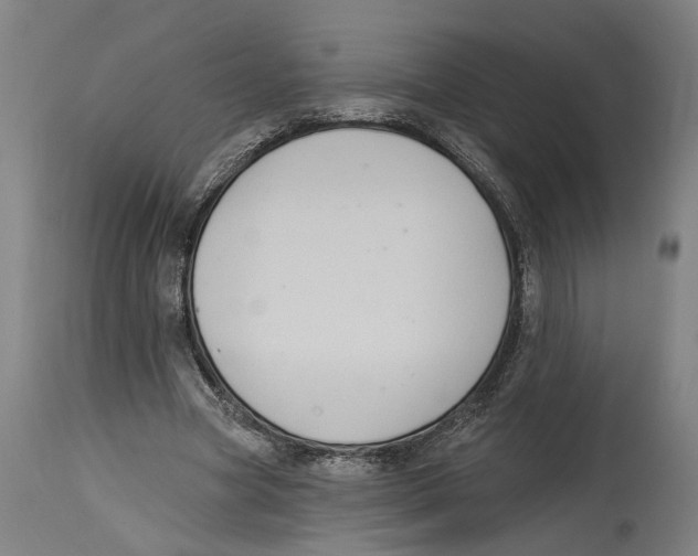 X0000114580537200911161311