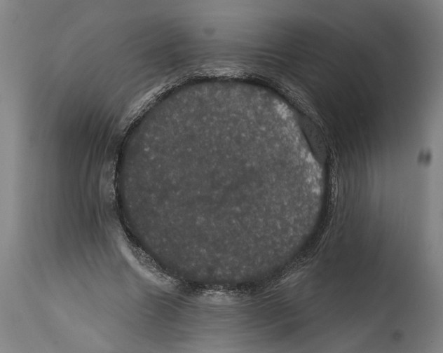 X0000114580538200911161311