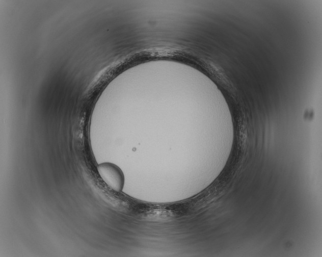 X0000114580543200911161312