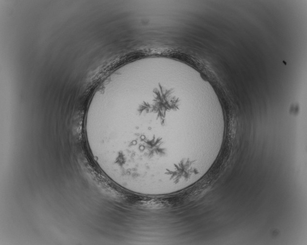 X0000114580545200911161312