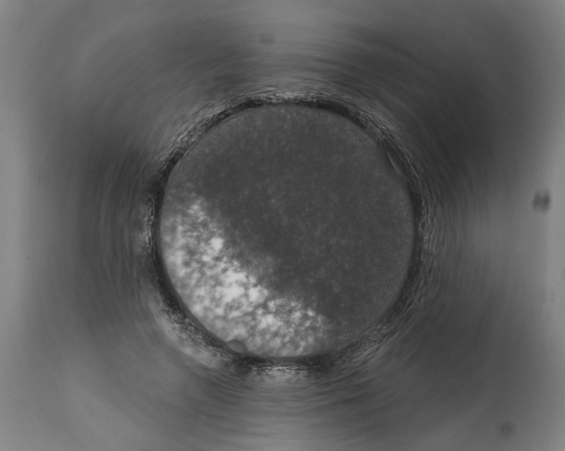 X0000114580546200911161312