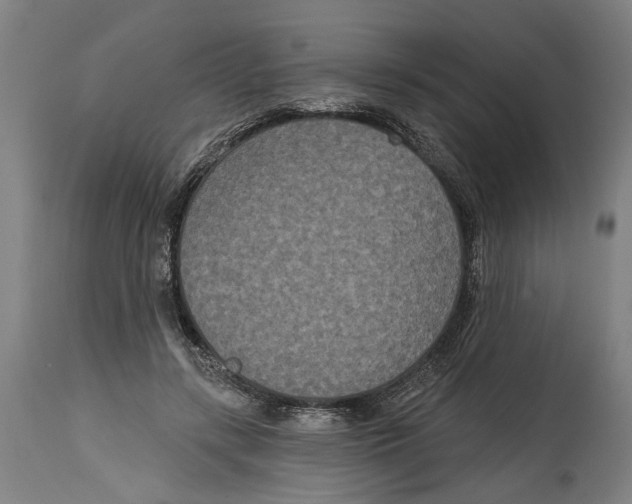 X0000114580547200911161312