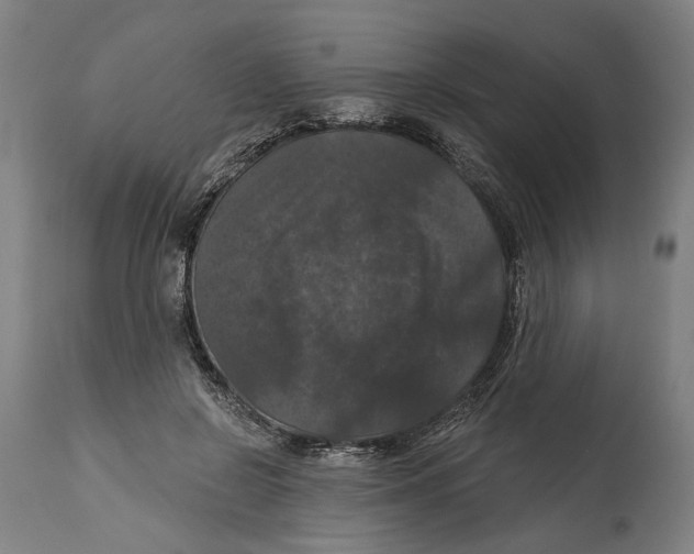 X0000114580550200911161312