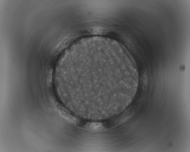 X0000114580554200911161312