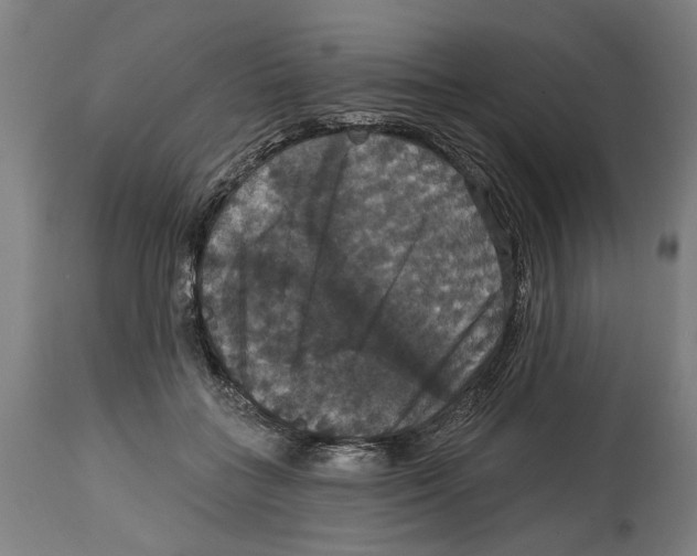 X0000114580555200911161312