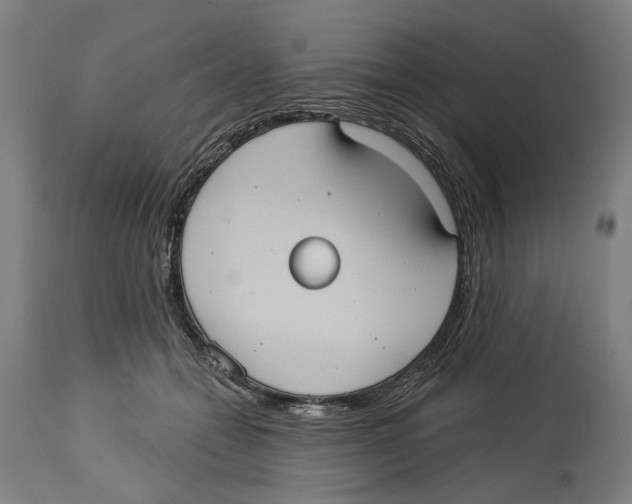 X0000114580558200911161312