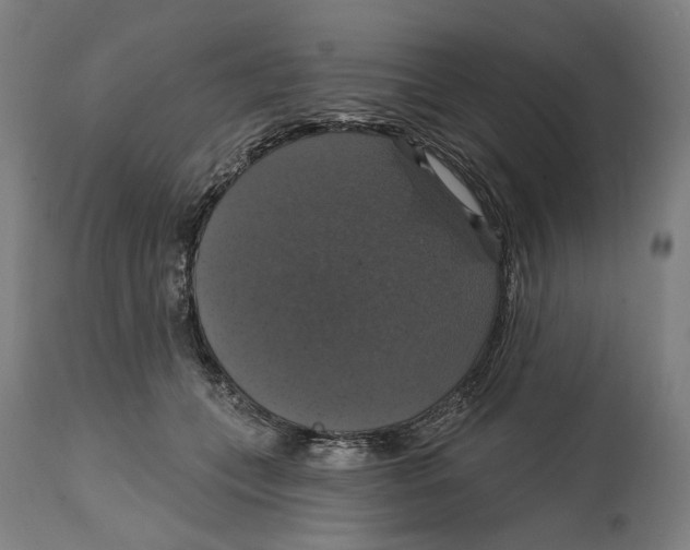 X0000114580559200911161312