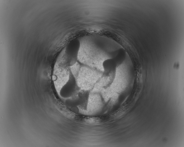 X0000114580561200911161312