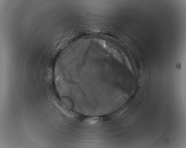 X0000114580563200911161312