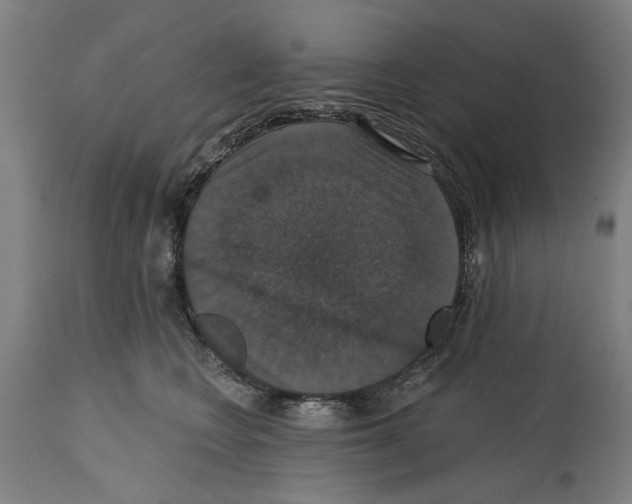 X0000114580566200911161312