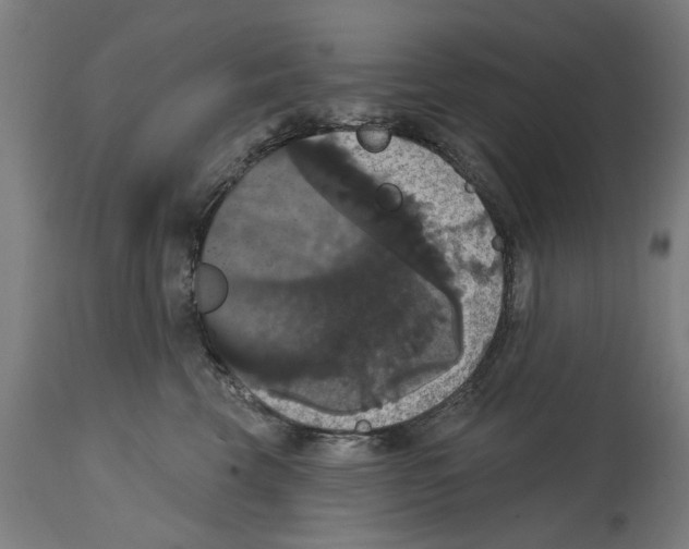 X0000114580569200911161312