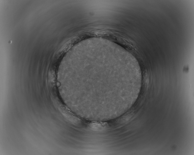 X0000114580571200911161312