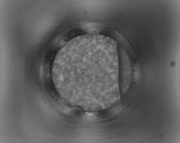 X0000114580573200911161312