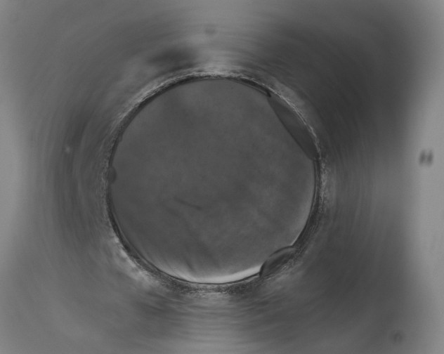 X0000114580577200911161311