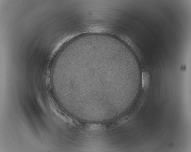 X0000114580579200911161311