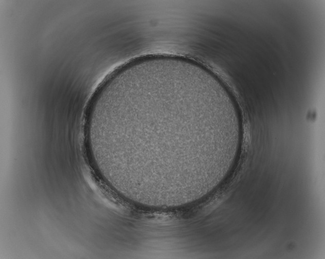 X0000114580580200911161311