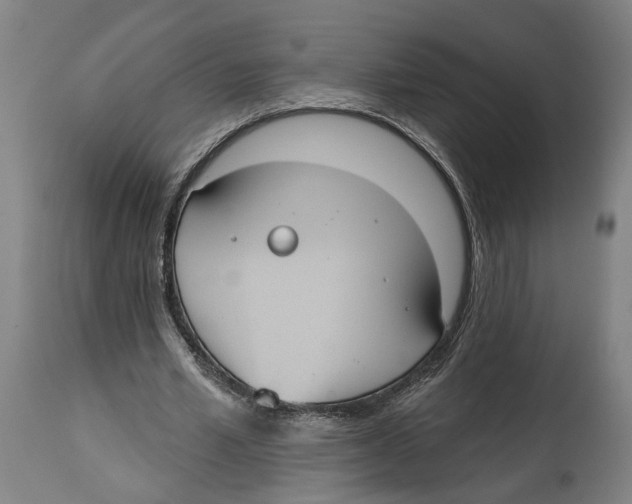 X0000114580581200911161311