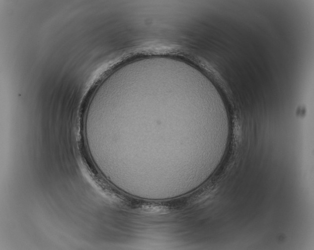 X0000114580582200911161311