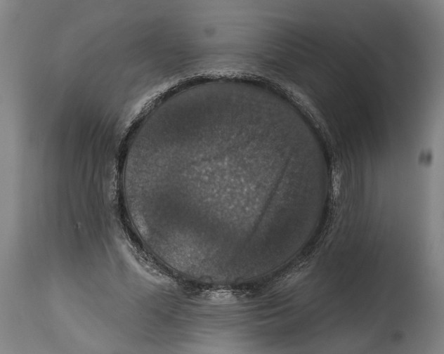 X0000114580588200911161311