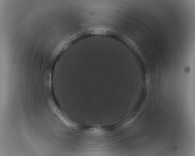 X0000114580589200911161311