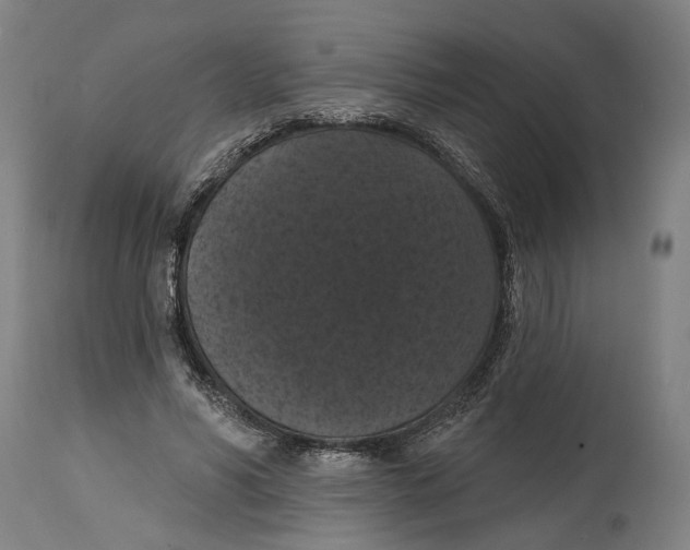 X0000114580590200911161311