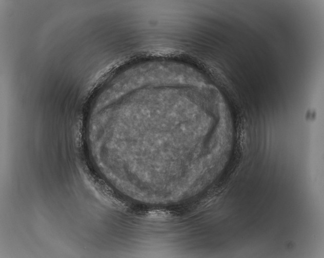 X0000114580591200911161311