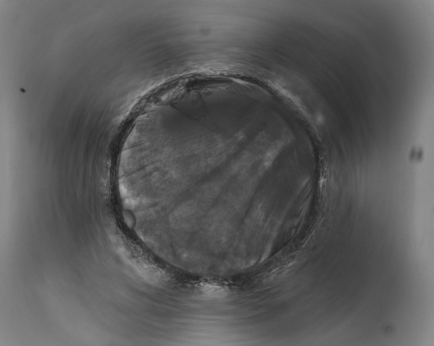 X0000114580592200911161311