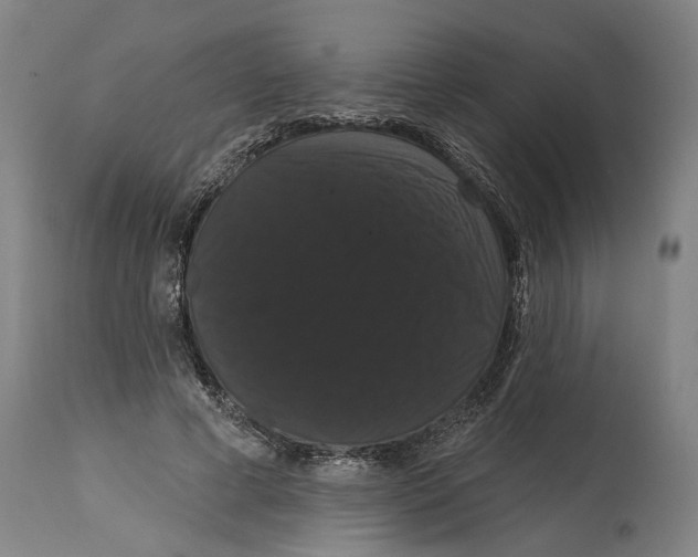 X0000114580593200911161311