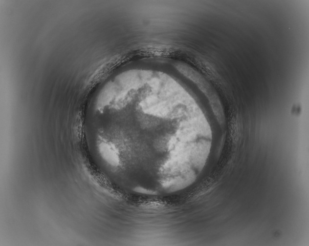 X0000114580594200911161311