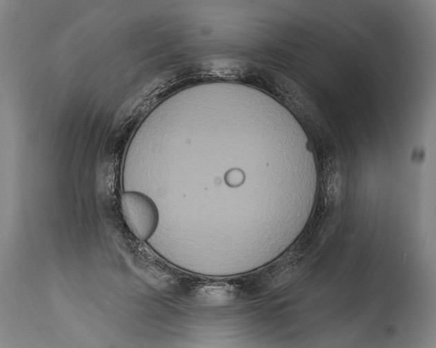 X0000114580595200911161311