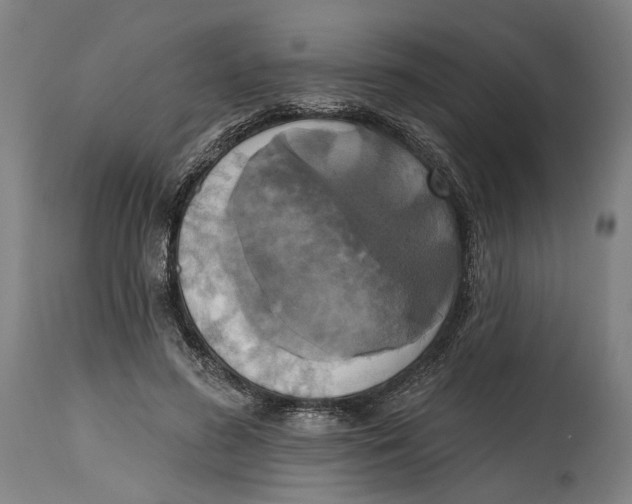 X0000114580596200911161311