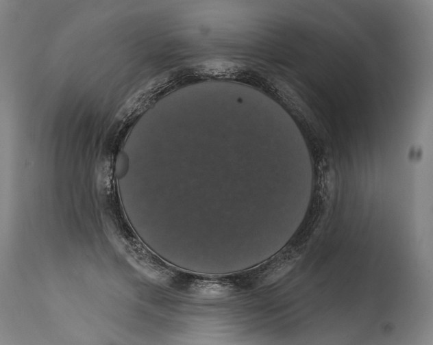 X0000114580597200911161311