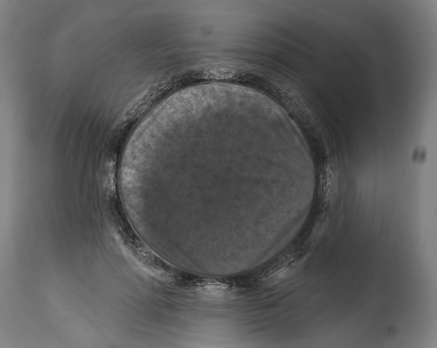 X0000114580598200911161311