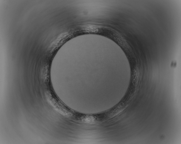 X0000114580600200911161311